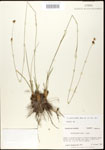 000020614-thumbnail.jpg