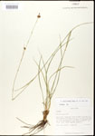 000020616-thumbnail.jpg