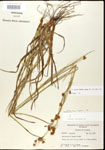 000020618-thumbnail.jpg