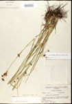000020619-thumbnail.jpg