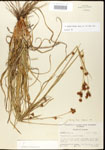 000020620-thumbnail.jpg