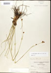 000020621-thumbnail.jpg