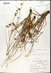 000020622-thumbnail.jpg