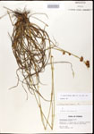 000020623-thumbnail.jpg