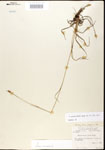000020624-thumbnail.jpg