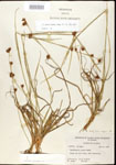 000020625-thumbnail.jpg