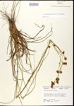 000020626-thumbnail.jpg