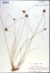 000020627-thumbnail.jpg