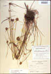 000020637-thumbnail.jpg