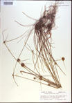 000020641-thumbnail.jpg