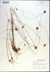 000020642-thumbnail.jpg