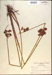 000020697-thumbnail.jpg