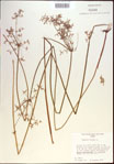 000020733-thumbnail.jpg
