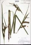 000020744-thumbnail.jpg