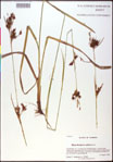 000020763-thumbnail.jpg