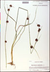 000020767-thumbnail.jpg
