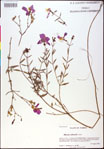 000020768-thumbnail.jpg