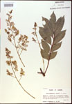 000020820-thumbnail.jpg