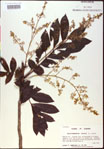 000020821-thumbnail.jpg