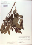 000020823-thumbnail.jpg