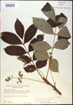 000020824-thumbnail.jpg