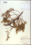 000020825-thumbnail.jpg