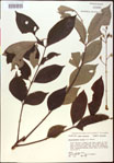 000020826-thumbnail.jpg