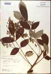 000020828-thumbnail.jpg
