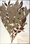 000020830-thumbnail.jpg
