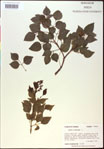 000020834-thumbnail.jpg