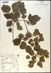 000020835-thumbnail.jpg