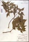 000020837-thumbnail.jpg