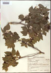 000020839-thumbnail.jpg