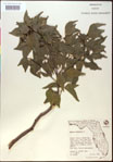000020840-thumbnail.jpg