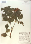 000020841-thumbnail.jpg
