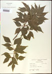 000020842-thumbnail.jpg