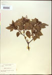000020843-thumbnail.jpg