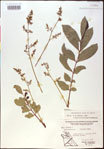 000020848-thumbnail.jpg