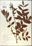 000020849-thumbnail.jpg
