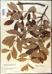 000020850-thumbnail.jpg