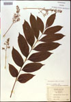 000020851-thumbnail.jpg