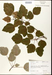 000020854-thumbnail.jpg