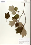 000020860-thumbnail.jpg