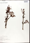 000020912-thumbnail.jpg