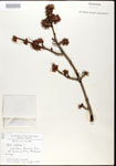 000020918-thumbnail.jpg