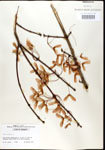 000020922-thumbnail.jpg