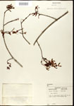 000020936-thumbnail.jpg