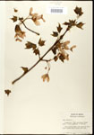 000020940-thumbnail.jpg