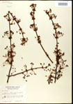 000020942-thumbnail.jpg