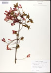000020943-thumbnail.jpg
